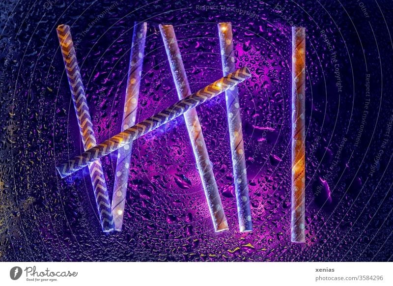 Six counted - paper drinking straws with violet illumination and water drops six 6 Drinking straws Water Drops of water Abstract Violet Wet Paper drinking straw