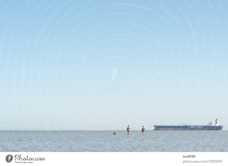 Walk in the mudflats - the water comes Mud flats Walk along the tideland watt North Sea Low tide Water Ocean High tide Horizon Coast Beach Nature Tide Sky