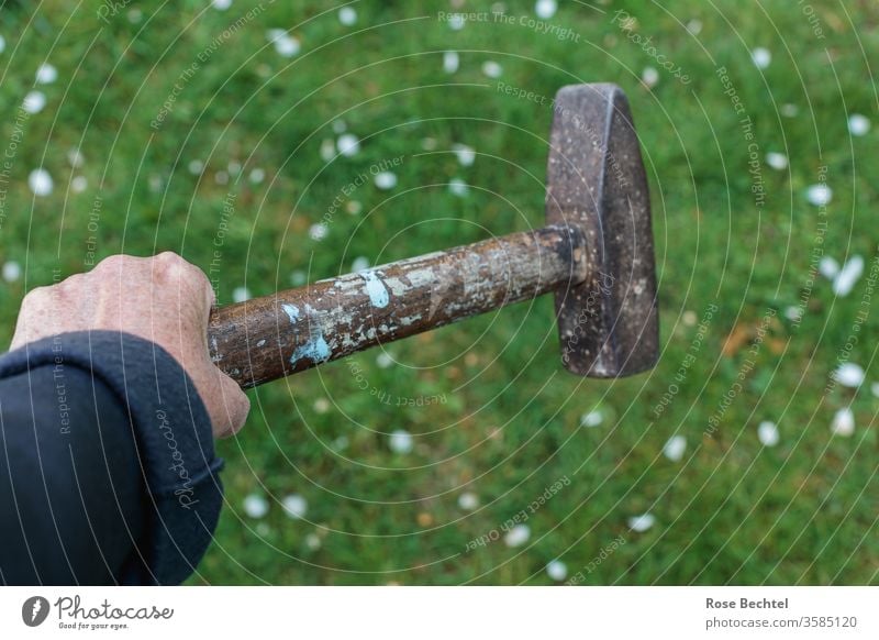 Hand mit Hammer by hand object of desire Copy Space top Close-up Colour photo Meadow Day Copy Space bottom