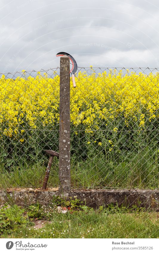 Hammer and sickle on fence hammer and sickle Symbols and metaphors Tool Fence Wire netting fence Border Old slanting Canola Canola field Craft (trade) Sign