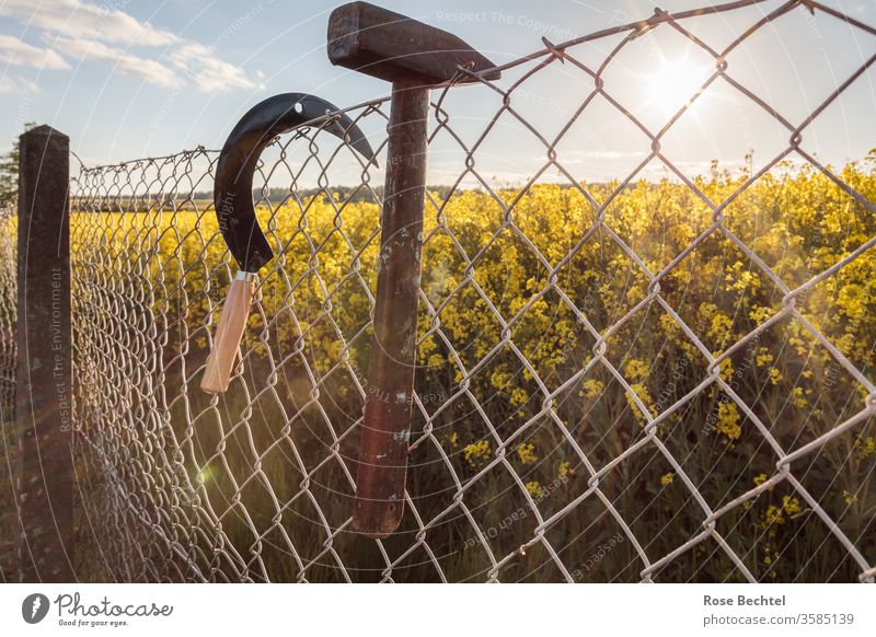 Hammer and sickle on the field fence hammer and sickle Tool Fence Wire netting fence Border Canola Canola field slanting Old Craft (trade) object of desire