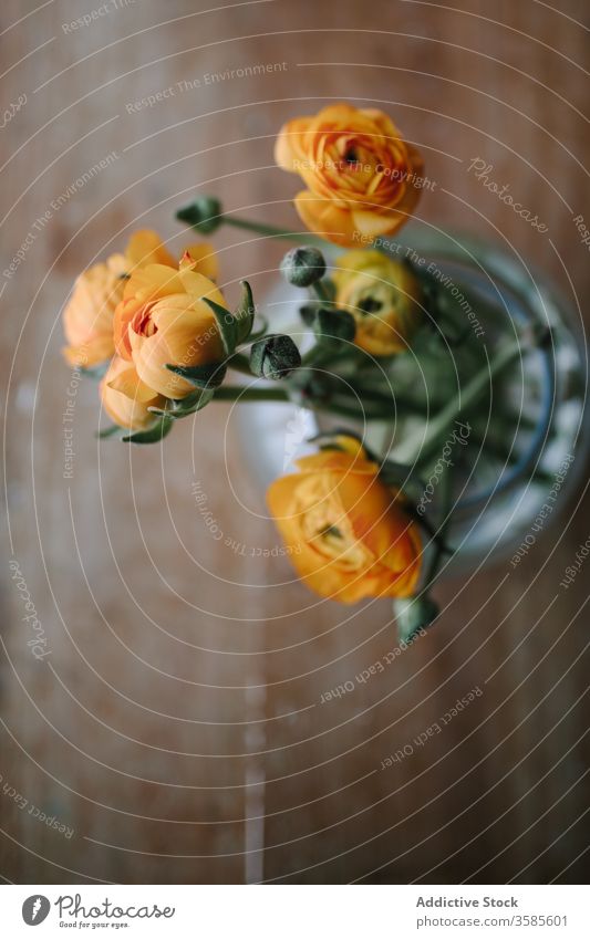 Bouquet of delicate peony in glass vase bouquet bunch jar wooden table rustic style background flower fresh natural orange bloom blossom summer season village