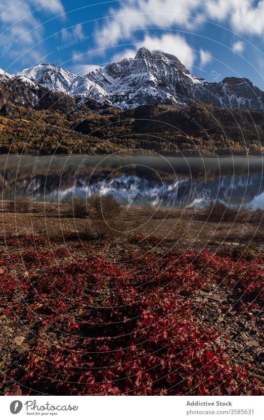 Calm mountain landscape surrounded by bushes and lake plants valley autumn winter snow nature season pond green quiet cold peaceful view calm environment