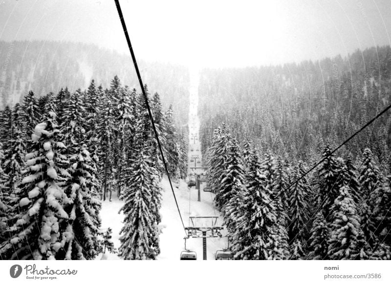 snowy landscape Fir tree Snow Elevator Mountain Contrast