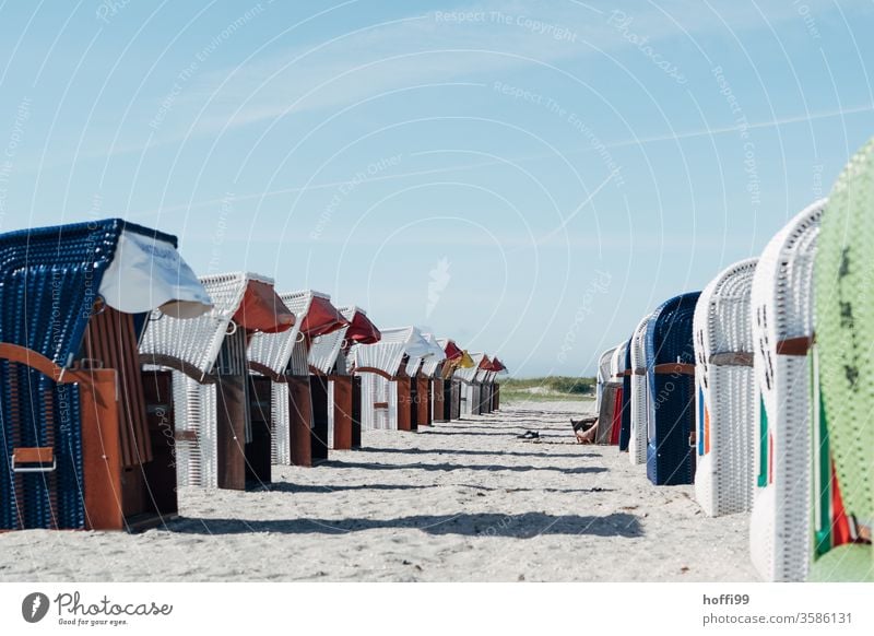 Beach chairs in row - almost all empty beach chair Beach chair rental Ocean lockdown Vacancy vacant Baltic Sea Relaxation Sand Vacation & Travel Empty Coast Sky