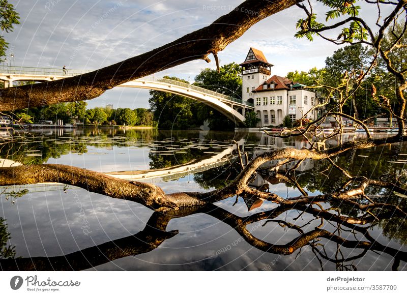 Island of Youth with bridge to the sunrise Nature Dawn Treptow Treptow Park Passion island of youth Jetty Reflection Beautiful weather Bay Fishing port