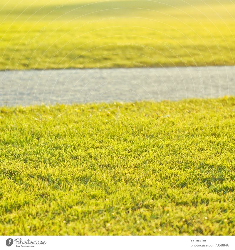 Summer's here! Freedom Summer vacation Sun Sunbathing Garden Environment Nature Sunlight Grass Park Meadow Relaxation To enjoy Beautiful Warmth Happy