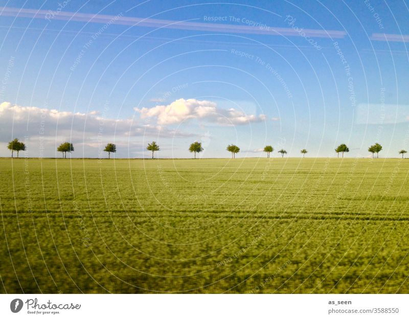 Landscape from the train huts Field acre Train Window Driving Sky Clouds swift reflection Nature Agriculture Deserted Colour photo Railroad Track Weather Avenue