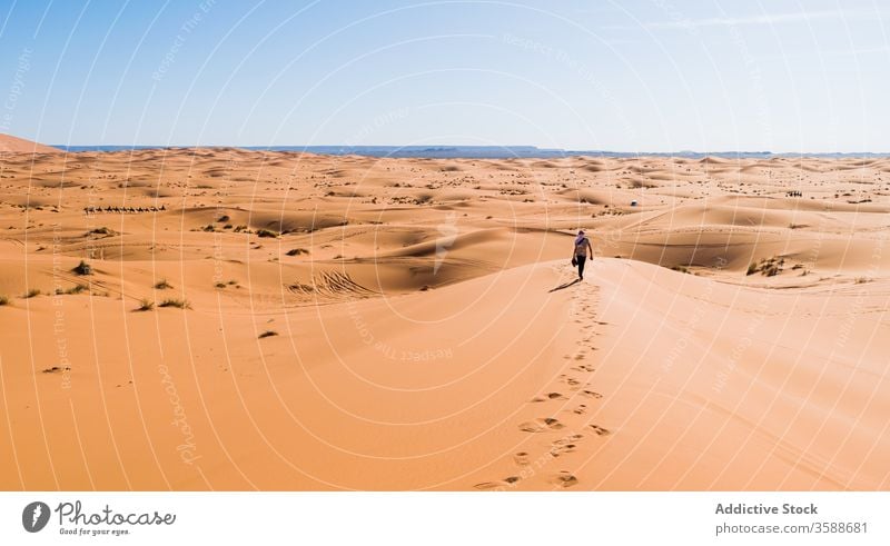 Anonymous traveler walking along sand dune in desert holiday tourist stroll blue sky nature morocco africa terrain sunny summer dry trip landscape adventure