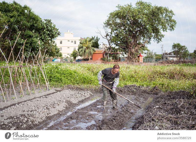 Diligent ethnic farmer cultivating soil with hoe before planting cultivate garden man agronomy agriculture work wet plantation equipment water tool orchard