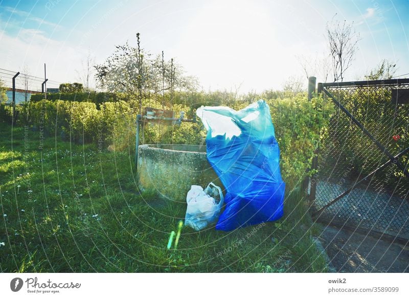 dropped Garden Meadow Hedge Fence door Garden door garbage bag Garbage bag waste Junk Stand Wait Pick up Sun Sunlight Back-light Illuminate Brilliant Lens flare