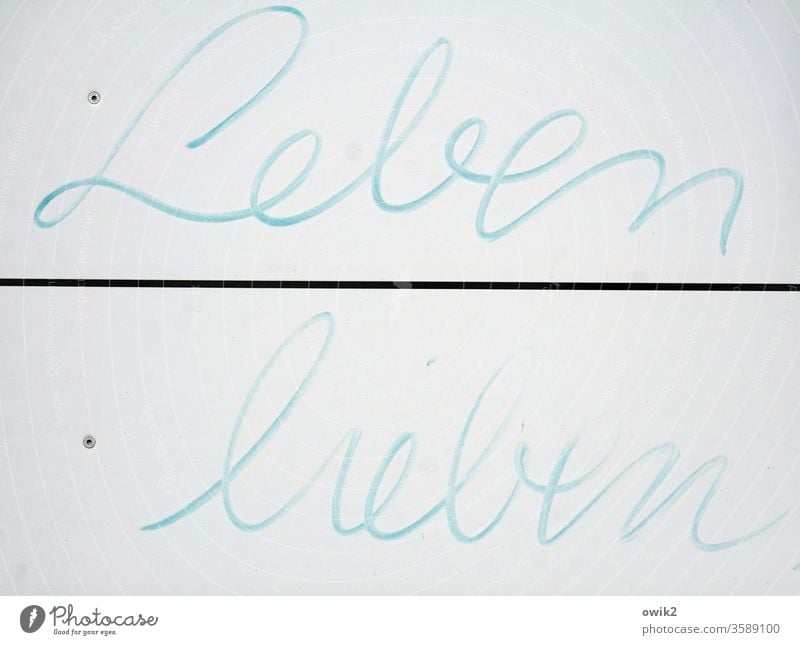 communication sign Letters (alphabet) words Life love added cursive Spontaneous Positive encourage sb. Felt-tipped pen Characters Colour photo Signage Blue Word