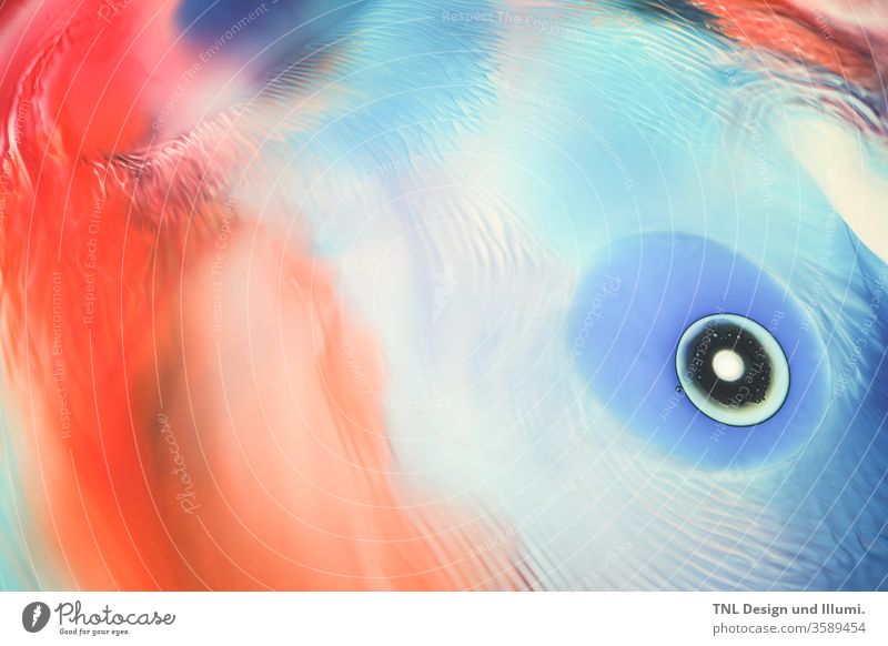 Visual content produced with the lightmotiv projector: organic forms and natural processes lead to aesthetic interface reactions. Art Work of art Esthetic