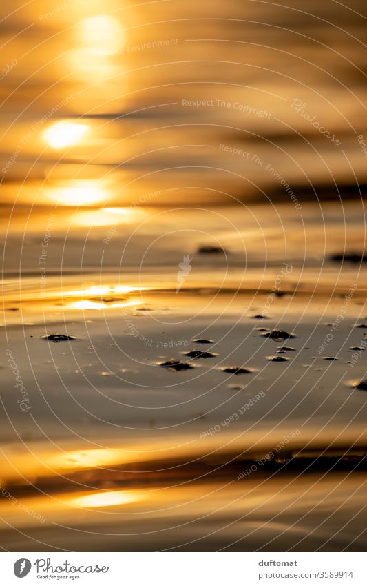 Sunset at the lake, Close Up of the water surface Water Dusk reflection dof Blur Lake Surface of water Reflection Evening Twilight Calm Nature Relaxation