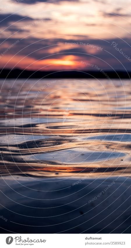 Sunset at the lake, Close Up of the water surface Water Dusk reflection dof Blur Lake Surface of water Reflection Evening Twilight Calm Nature Relaxation