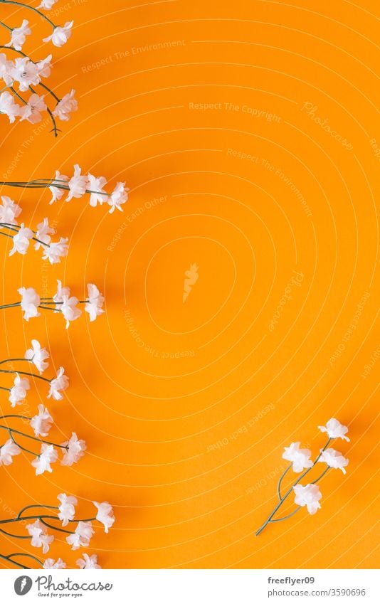 Flat lay of white flowers against a yellow background spring flat lay flatlay copy space copyspace still still life from above objects mockup mock up blank