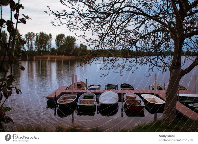 the boats lie lonely at the jetty Water Hiking Forest Summer To go for a walk Exterior shot nikonic Landscape Photography Sky huts Sunday Trip Lake already Calm