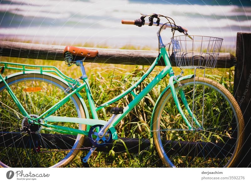 A ladies' bicycle leaning against a wooden beam, with fresh greenery along the shore and the sea in the background. Bicycle Movement Exterior shot Colour photo