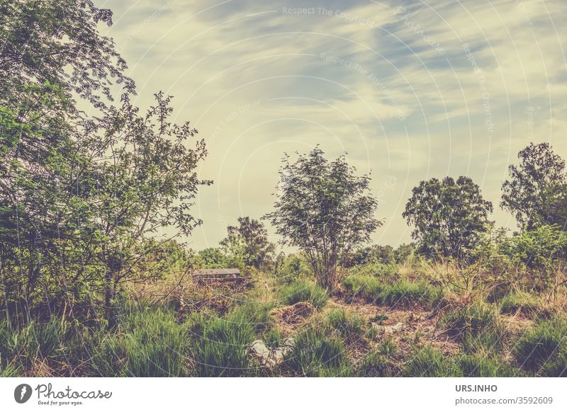 the park bench in the moor landscape invites you to rest Bog moorland Parkank Nature Marsh Wittmoor Exterior shot Landscape Deserted huts Hiking trip Trip Day