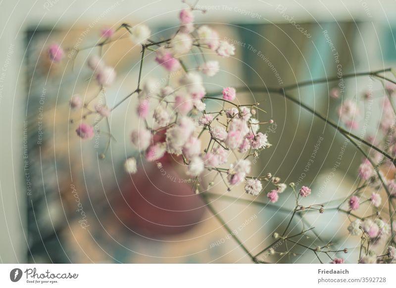 still life with flowers Decoration Vase Baby's-breath Pink Delicate soft colours creative Deco Film from on high at home