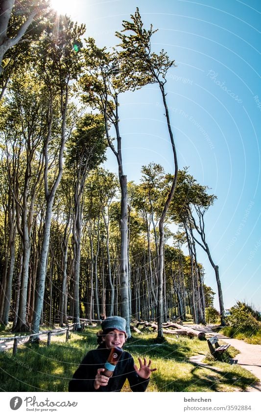 the ghost in the ghost forest Ocean Beach Baltic Sea Sky Summer muck about Landscape Nature Infancy Child Coast Vacation & Travel Relaxation Tourism