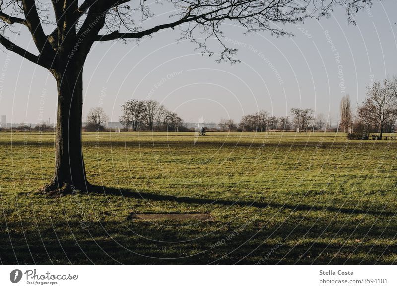 Cyclists early in the morning in the park in the distance. Bicycle Driving Park out Autumn Autumnal morning mood morning sun Freedom Nature Exterior shot