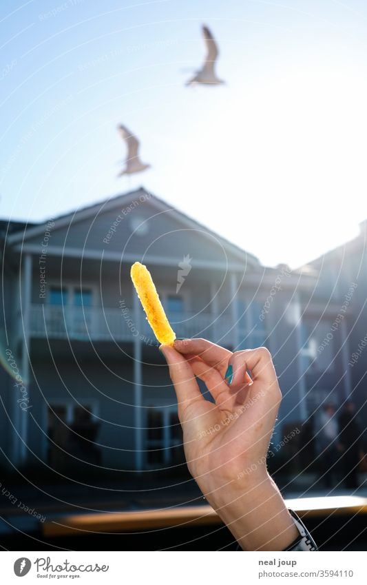 Child's hand, French fries, seagulls - Feeding experiment vacation Coast Baltic Sea North Sea by hand Blue sky fun lure instant Yellow Tourism supply and demand