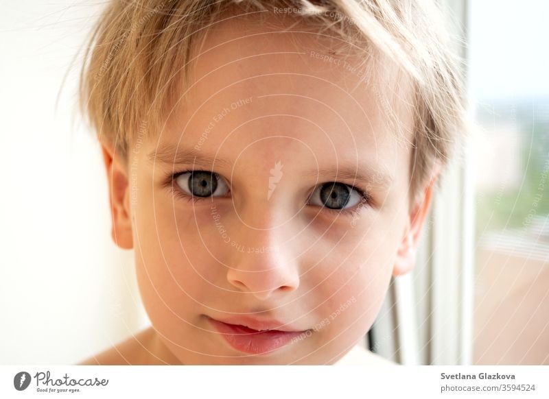 Portrait young caucasian cute boy with blond hair inside the house near the window. Calm emotion portrait child face kid white person childhood male blonde