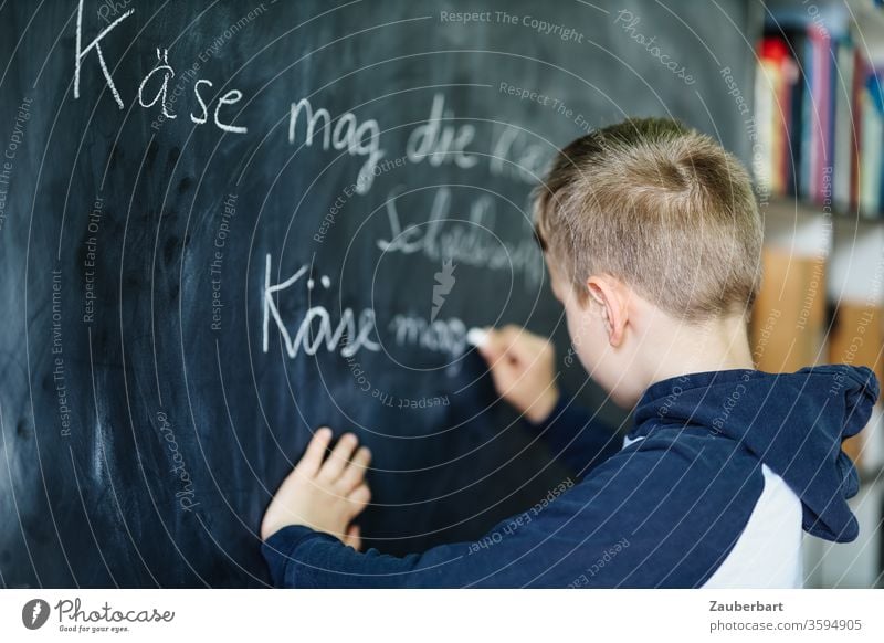 Homeschooling III - Boy writes with chalk on a blackboard a practice set for cursive writing, in the background bookcase School Boy (child) pupil schuler