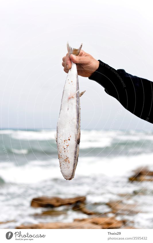 man fisherman holding in his hand fresh sea fish he just catch food fishing male sport background animal people wild river outdoor nature wildlife hobby lake