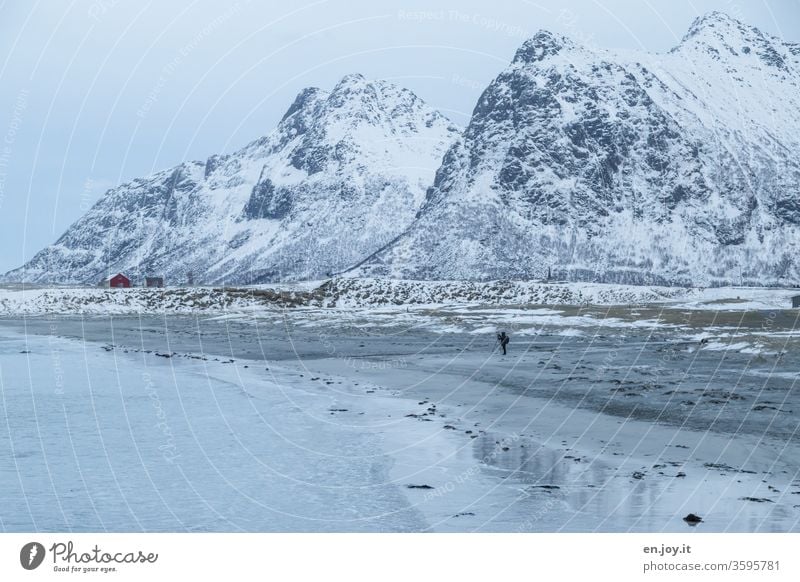 A man stands on a beach in front of snow-capped mountains Lofotes Norway Scandinavia Winter Mountain Snow Beach reflection winter landscape Blue