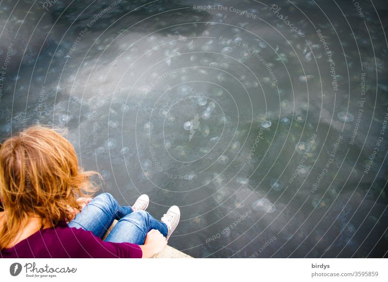 Young woman sitting on the edge of a harbour quay on the Baltic Sea. In the water countless jellyfish Jellyfish plague with jellyfish harbour basins Water Many