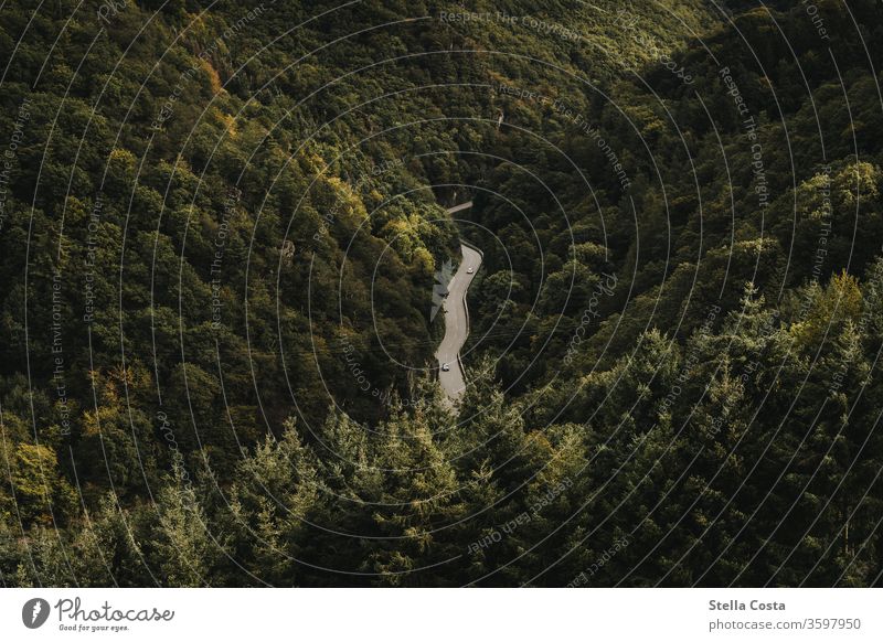 Road through a valley - view from above UAV view Bird's-eye view Valley Nature Landscape Exterior shot Aircraft Vacation & Travel Tourism Copy Space Picturesque