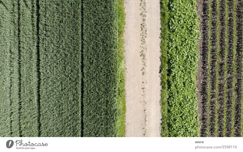 View from the air over agricultural land towards the Alps Area flight aerial view agricultural area agricultural fields alps bird's eye view copy space