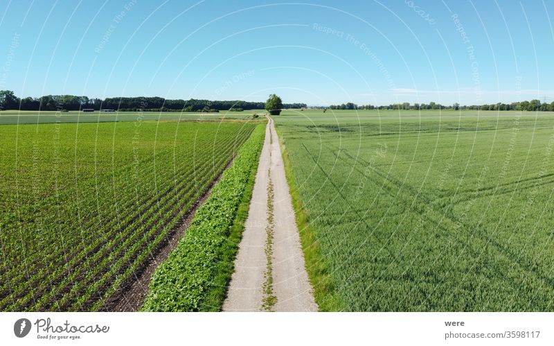 View from the air over agricultural land towards the Alps Area flight aerial view agricultural area agricultural fields alps bird's eye view copy space