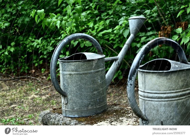 old | but still in use are two grey watering cans made of zinc sheet metal, beautifully designed and ready for use on an old moss-studded stone bench in fine contrast to the green hedge in the background