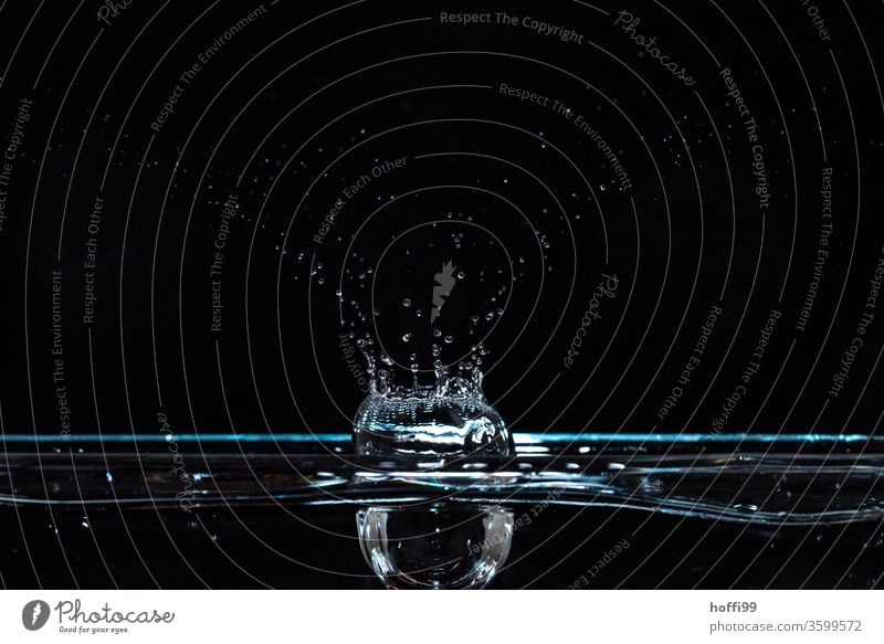 Water tropics fall and create figures Wet Drop Drops of water Blue Waves Surface of water Flash photo hovering Black Hover Refraction To fall Fluid Close-up