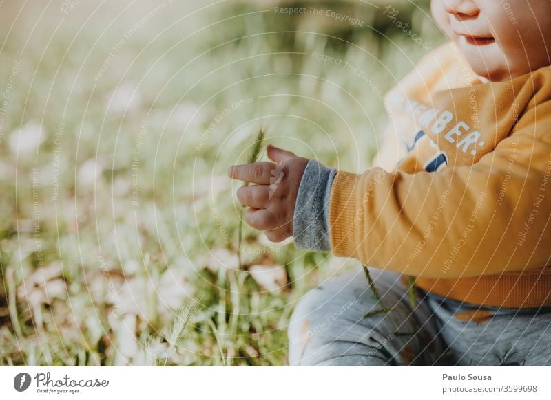 Child playing with grass Baby babyhood Toddler 0 - 12 months Caucasian Summer Spring Colour photo Human being Infancy Beautiful Cute Happy Exterior shot