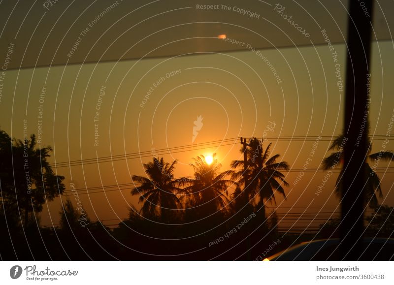 Thai sunset palms Sunset Shadow Asia Thailand Light Dusk afterglows Palm tree Wanderlust Trip Adventure Freedom Night shot Night sky Tourism Far-off places