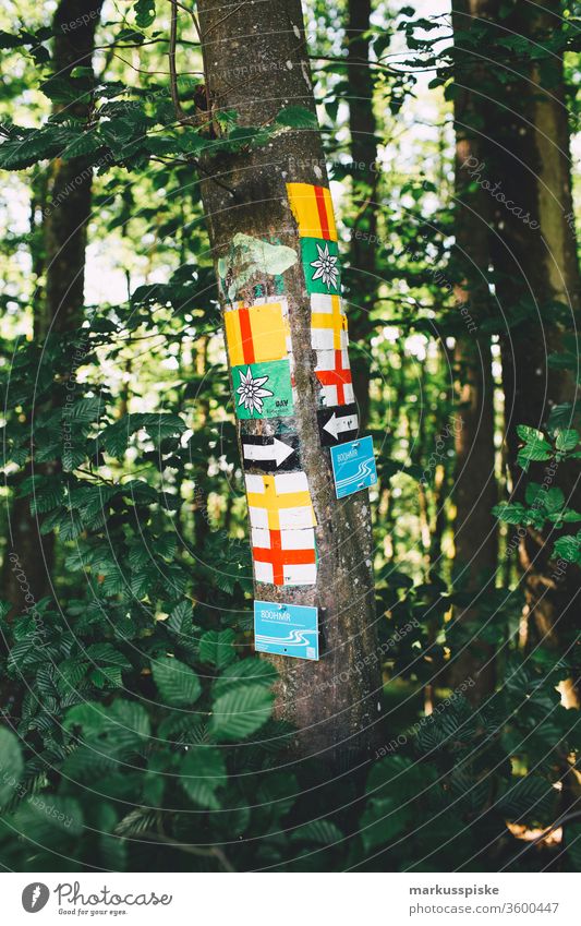 Hiking Marking Franconian Switzerland hiking mark Road marking Bavaria Upper Franconia Trubach Valley