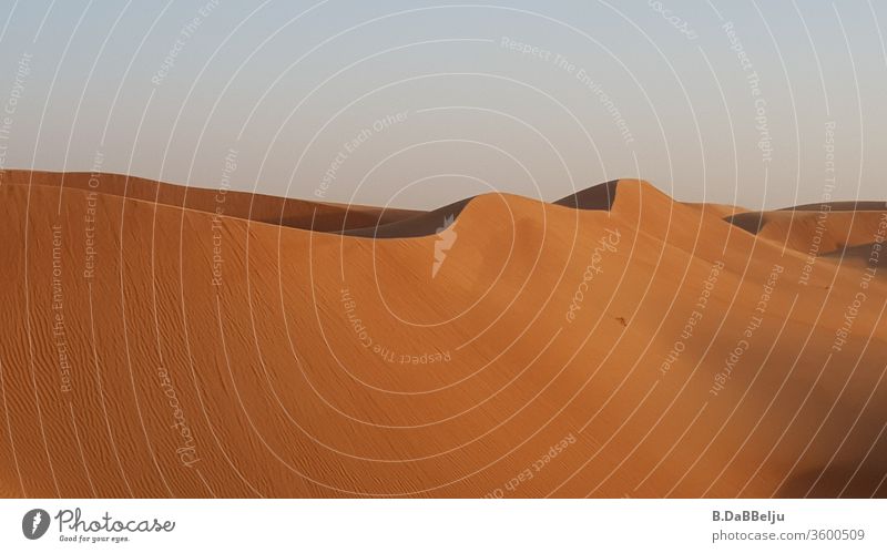 Wind shaped waves in the Omani desert. mountains travel Desert Vacation & Travel Sky Sand Nature Day Landscape Hot Dry Colour photo dune Safari Exterior shot