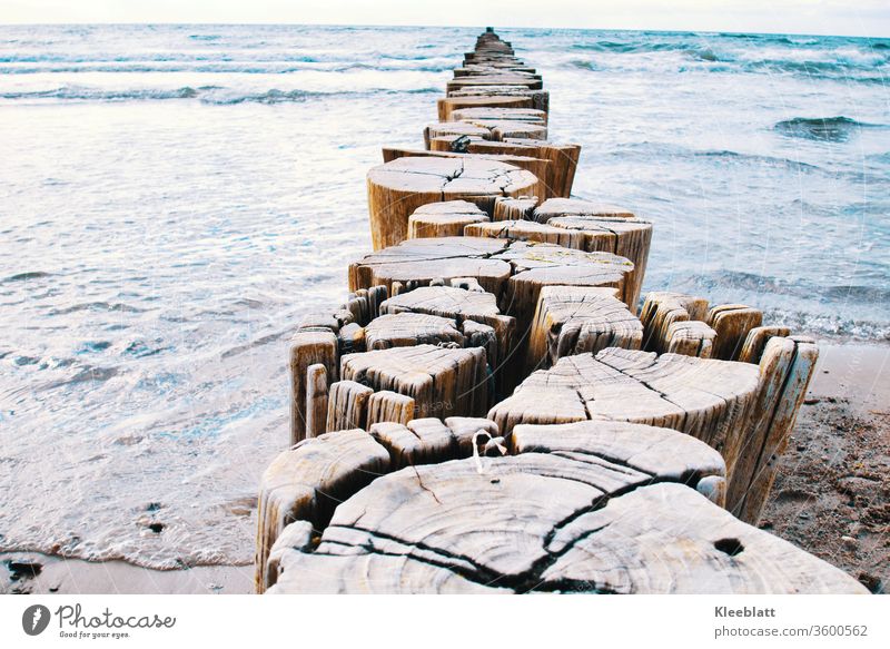 Groynes - Breakwater for coastal protection in the middle of the picture in the colours silver blue and beige breakwater Beach Water seascape Deserted Sky