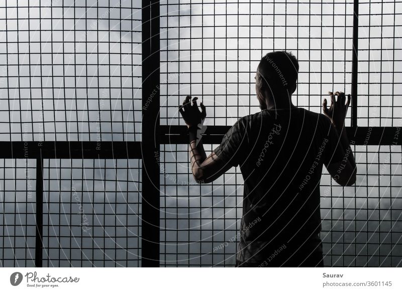 Young Man in self isolation / quarantine at home looking outside of a mesh grid window during global pandemic. Young man Youth (Young adults) coronavirus Corona