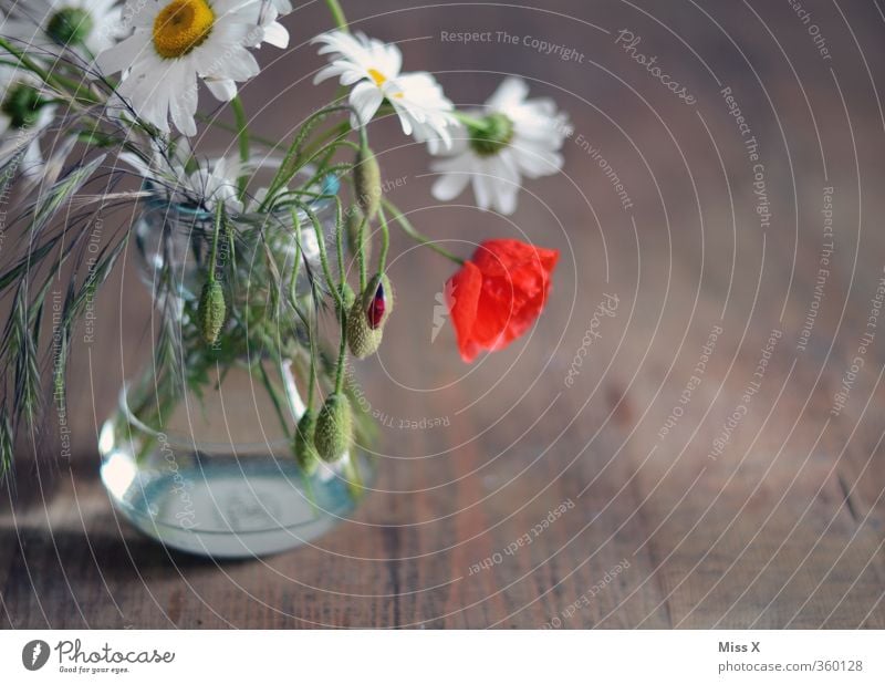 farmhouse bouquet Living or residing Decoration Table Spring Summer Flower Blossom Blossoming Fragrance Faded Meadow flower Rural Country house