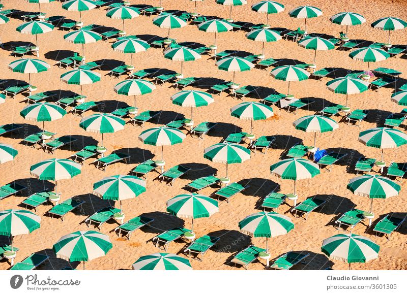 Termoli, the beach Adriatico Campobasso Europe Italy Molise coast color crisis day green horizontal italian morning nobody outdoor photography repetition row