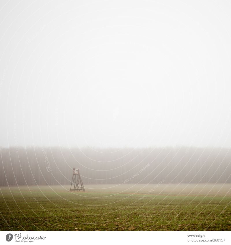 Fog waft pictures - day Environment Nature Landscape Bad weather Meadow Field Gloomy Gray Colour photo Multicoloured Exterior shot Deserted Copy Space left