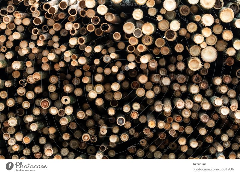 Pile of bamboo pole. Stack of round timber logs. Large batch of wooden logs for industrial scale or manufacturing. Warehouse of material for furniture factory. Art of bamboo abstract background.