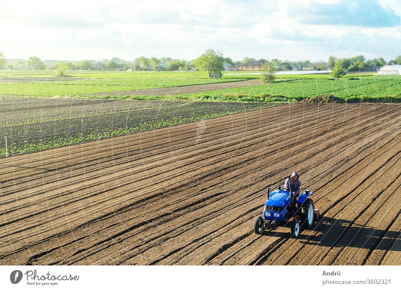 Farmer on a tractor cultivates a farm field. Grinding and loosening soil, removing plants and roots from past harvest. Field preparation for new crop planting. Cultivation equipment. Rural countryside