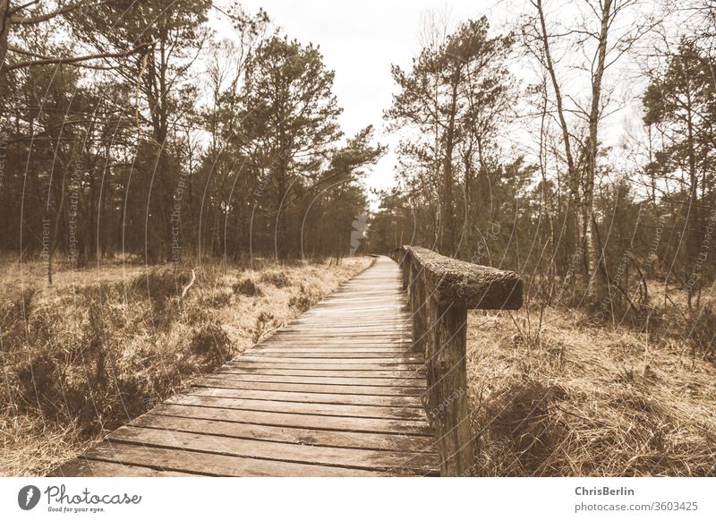 Wooden footbridge in the bog wooden walkway Footbridge Bog Nature reserve Autumn Experiencing nature Hiking boardwalk