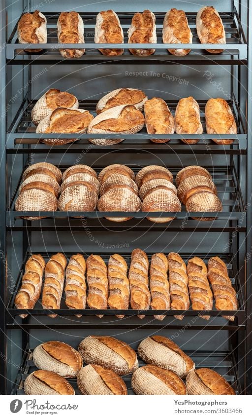 Bread variety on bakery metal shelf assortment baguette baked goods baker shop bakery interior bread bread racks business consumerism crust diversity food